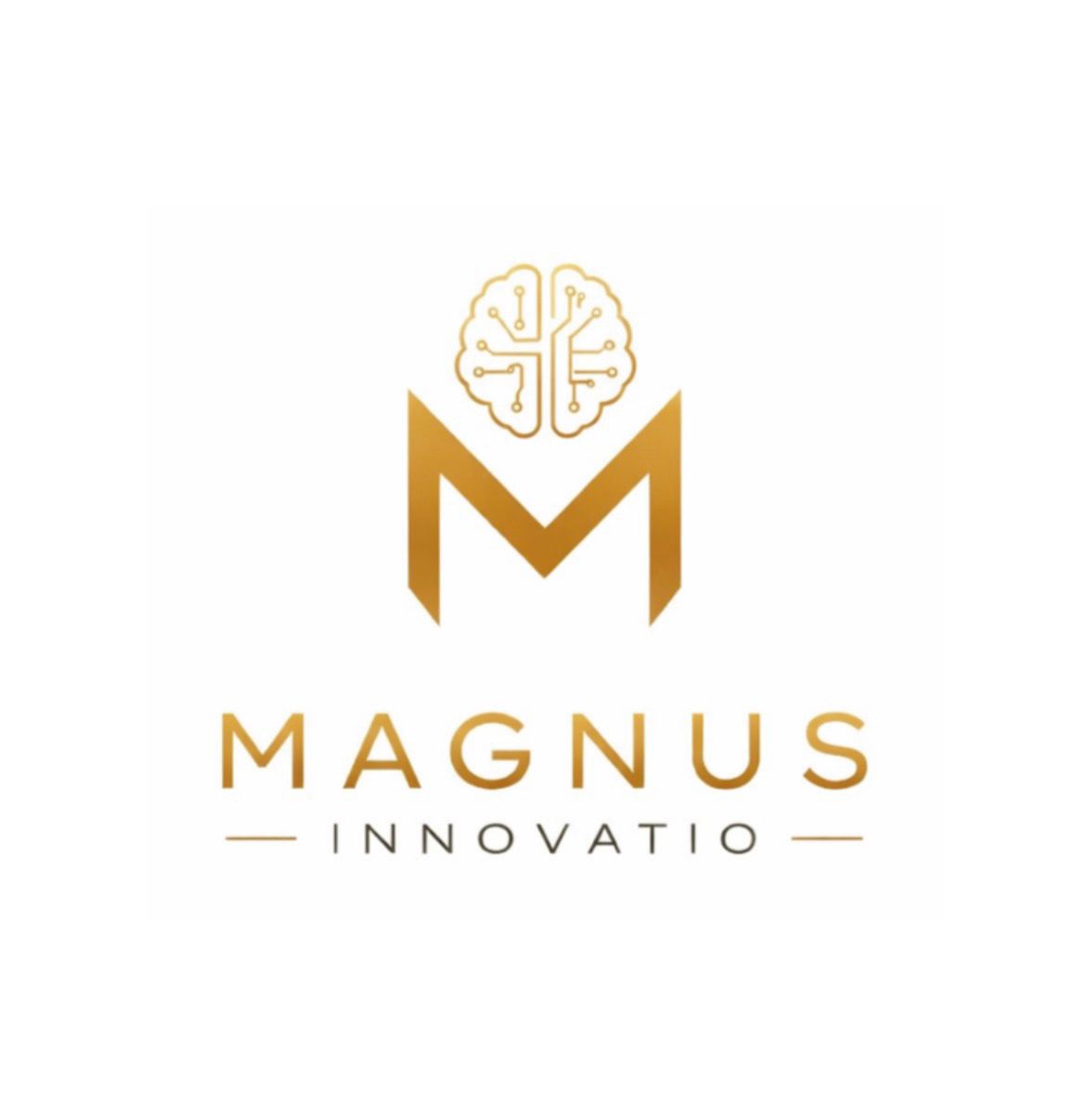 Magnus Innovatio Software